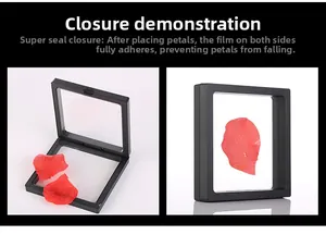 Close-up of 3D floating display box with PE film showing tight sealing with petals