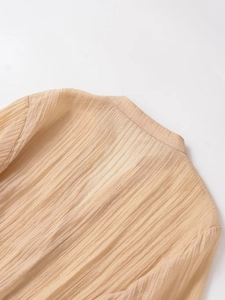 Detail of sheer pleated shirt fabric with vertical textures and refined stand collar