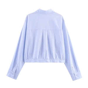 Back view of light blue striped cropped shirt with elastic waist and long sleeves