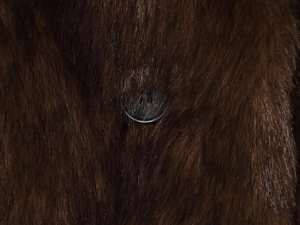 Detail shot of the dark brown faux fur texture and smooth glossy button on the jacket