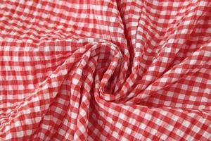 Detailed close-up of red and white gingham seersucker fabric texture and pattern