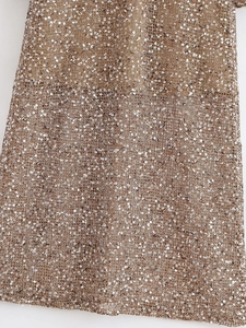 Gros plan détaillé de paillettes dorées champagne sur le mesh d'une robe de fête