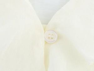 Close-up of cream chiffon blouse neckline featuring a pearlescent four-hole button