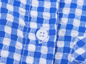 Macro shot of blue and white gingham fabric texture with a white four-hole button detail