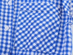 Macro shot of blue and white plaid shirt fabric with pocket and button detail