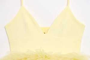 Detail of the pale yellow top showing the V-neckline with mesh splice and tulle ruffles