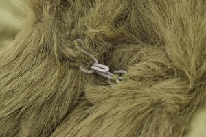 Détail de la texture en fausse fourrure et de la boucle à nœud tissé sur une veste