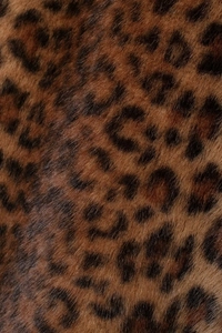 Macro shot of faux fur texture with detailed leopard animal print pattern in brown and black