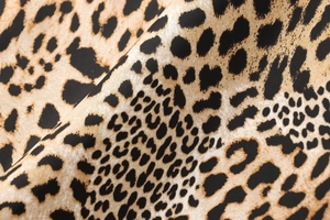 Detailed macro shot of silky leopard print fabric with black and caramel animal patterns