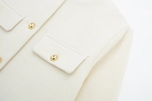 Detailaufnahme von cremefarbenem Tweed mit dekorativem Goldknopf und eleganter Pattentasche