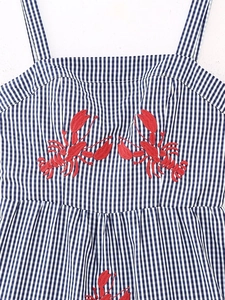 Detail of red lobster embroidery on blue and white gingham summer dress fabric