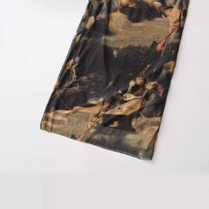 Women's summer mesh dress featuring vintage classical oil painting prints on black tulle