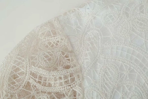Detailed macro shot of white lace fabric with paisley embroidery and mesh hollow details