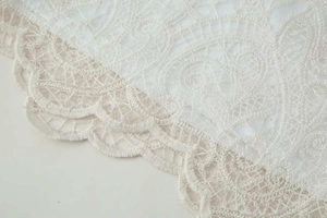 Close-up detail of white lace fabric with intricate embroidery and scalloped edges