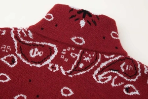 Vue macro détaillée du motif tricoté paisley et de la texture du tissu bordeaux du col