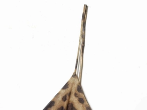 Close-up of leopard print mesh fabric with spaghetti straps for summer resort wear