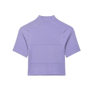 Slim fit light purple ribbed short sleeve knit top with mock neck for summer wear