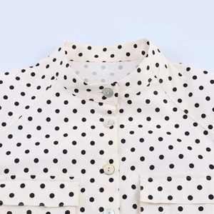 Detail of retro polka dot blouse with stand collar and shell-like button closure