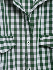 Detail of green and white gingham fabric with shirt collar and white buttons