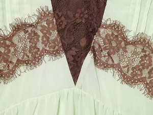Detail of mint green fabric with dark brown floral lace trim and eyelash edges