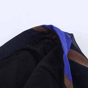 Detail of sheer black mesh fabric with vibrant blue and brown stitched seam accents