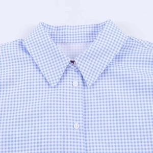 Close-up of classic blue and white gingham shirt collar with white button details