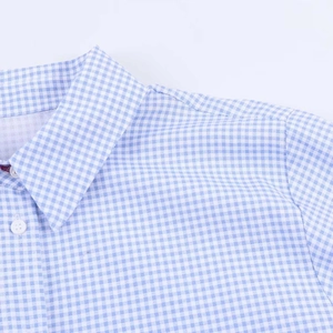 Detail of classic blue and white gingham shirt featuring lapel collar and white buttons