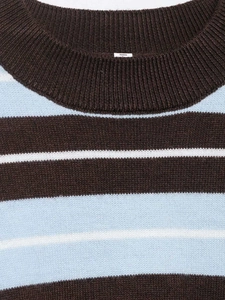 Detailed close-up of ribbed crewneck and tricolor striped knit fabric in blue and brown