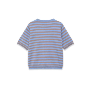 Blue and brown striped knit T-shirt with crew neck and ribbed edges on white background