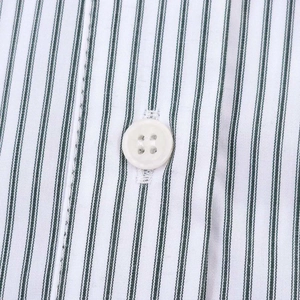 Close-up of white four-hole button and fine green vertical stripes on cotton poplin shirt