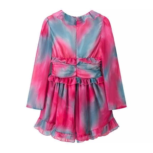 Detail view of the v-neck floral print dress with ruffle trim and back zipper closure