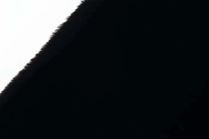 Detailed close-up of premium black faux fur texture with soft plush long fibers