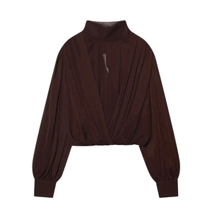 Brown sheer lantern sleeve blouse with mock neck and draped pleated front design