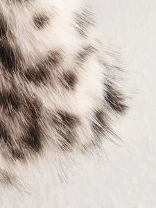 Détail en gros plan de la texture en fausse fourrure douce avec imprimé léopard chic
