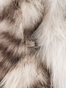Détail macro de la texture fausse fourrure léopard avec boucle de fermeture élastique