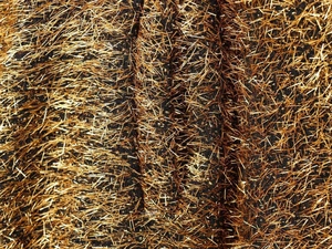 Macro shot of metallic gold eyelash yarn fabric texture on a black bomber jacket