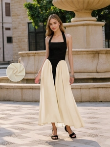 Robe Maxi Femme Élégante Dos Nu Halter Bloc de Couleur Patchwork Coupe Ajustée Sans Manches Soirée Ligne A Longue