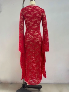 Detail of red floral lace fabric and long sleeves on a slim-fit transparent maxi dress