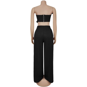 Back view of a black two-piece set featuring a cropped tube top with metal zipper detail