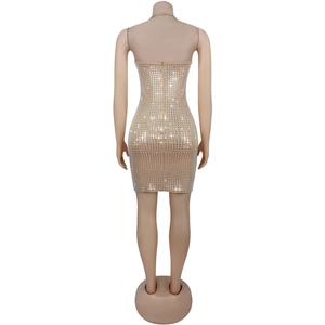 Macro detail of the nude bodycon dress featuring intricate silver rhinestones and back zipper