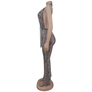 Detail of sheer leopard print mesh jumpsuit with halter neck and backless design