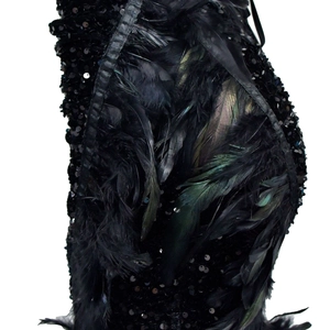 Détails de paillettes noires et plumes irisées sur une robe de soirée chic et élégante