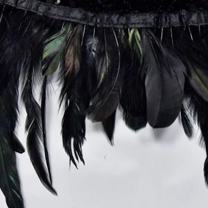 Gros plan détaillé de plumes noires à reflets irisés avec bordure en dentelle à paillettes