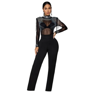 Close-up of sheer mesh bodysuit featuring sparkling rhinestones and shoulder fringes