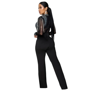 Detail of sheer mesh jumpsuit with silver rhinestones and sparkling fringe on sleeves
