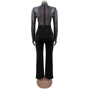 Detailed back view of sheer black mesh bodysuit with glittering rhinestones and zipper