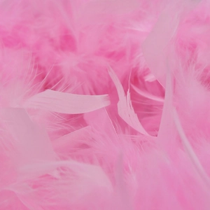 Détail de plumes décoratives roses à texture douce pour robes de soirée en mesh à la mode