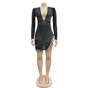 Detail of mesh dress with sparkling rhinestones and black feather hem on sleeves