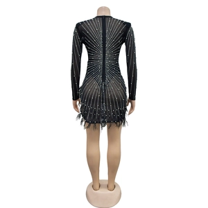 Detailed back view of mesh dress featuring rhinestone sunburst patterns and feather hem