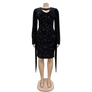 Detailed close-up of long tassels and shimmering black sequins on long sleeve mini dress
